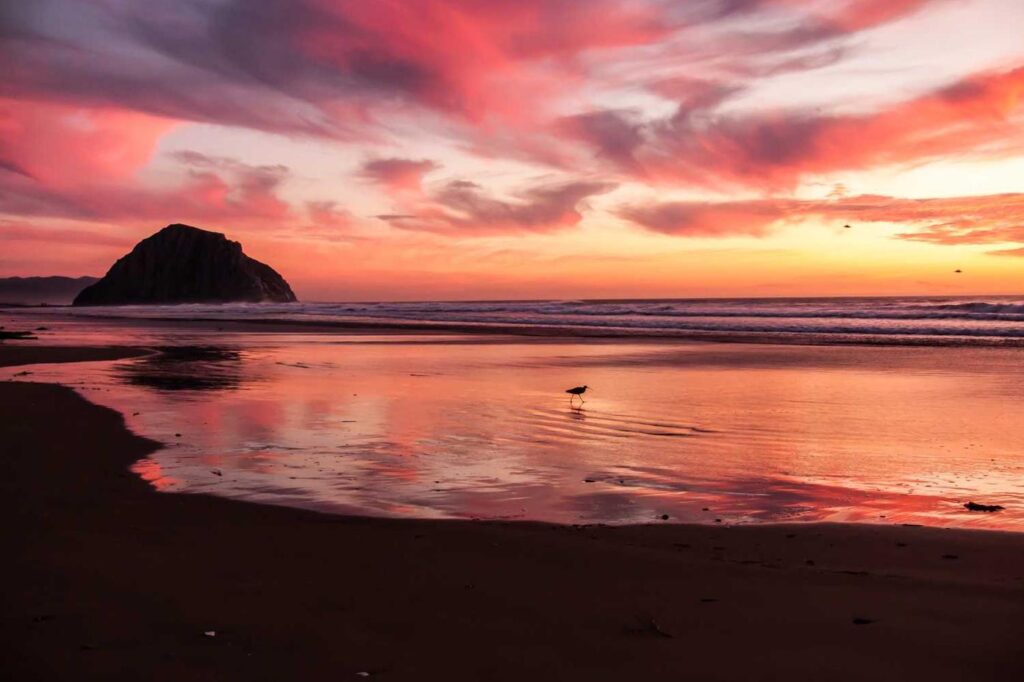 featured image of Qui aliquam voluptatem iste eos repudiandae impedit